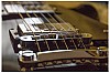 les paul 1 - (c) m mueller.jpg